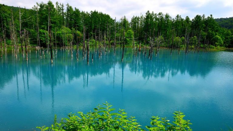 Blue Pond (Aoi Ike)